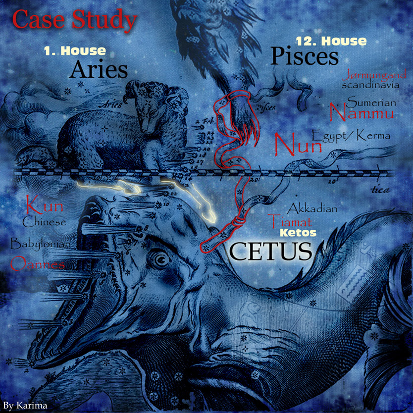 CASE STUDY of Cetus constellation by Karima