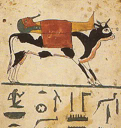 Ancient Egypt - The bull carries the body over the heavens