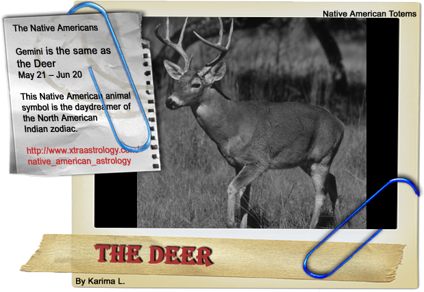 Native American Astrology - The Deer