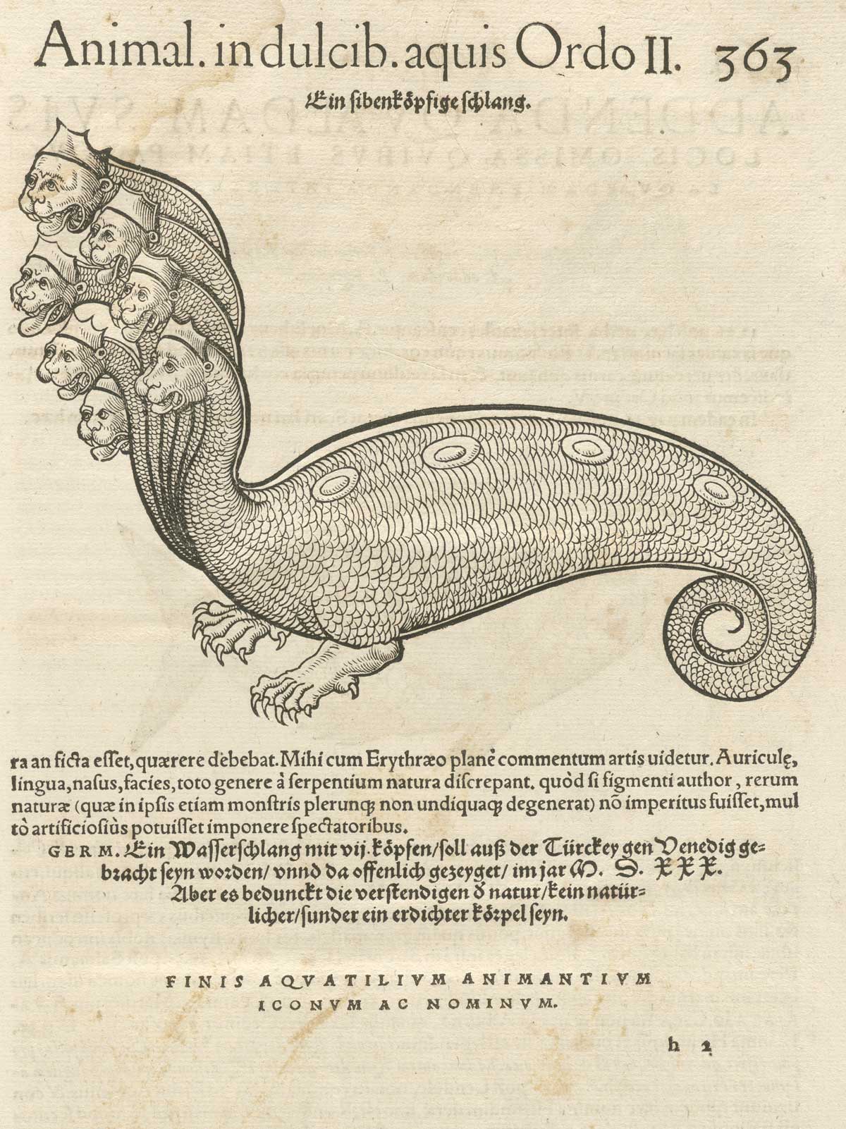 Hydra 16th-century German illustration